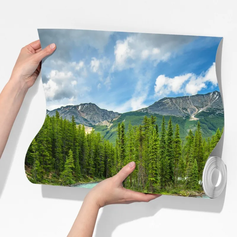 Fototapeta mglisty wąwóz przy Upper Sunwapta Falls, Jasper National Park – Wallissimo® Fototapeta mglisty wąwóz przy Upper Sunwapta Falls, Jasper National Park – Wallissimo®