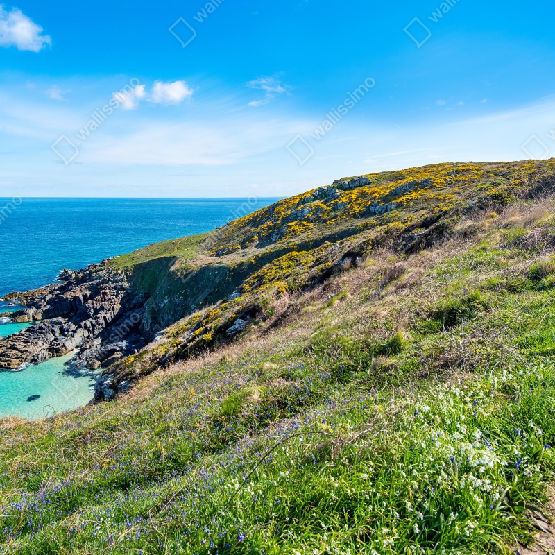 Fototapeta ścieżka wybrzeżna do Hor Point, St Ives – Wallissimo® Fototapeta ścieżka wybrzeżna do Hor Point, St Ives – Wallissimo®