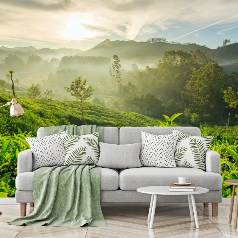 Fototapeta wschód słońca nad plantacjami herbaty w Munnar