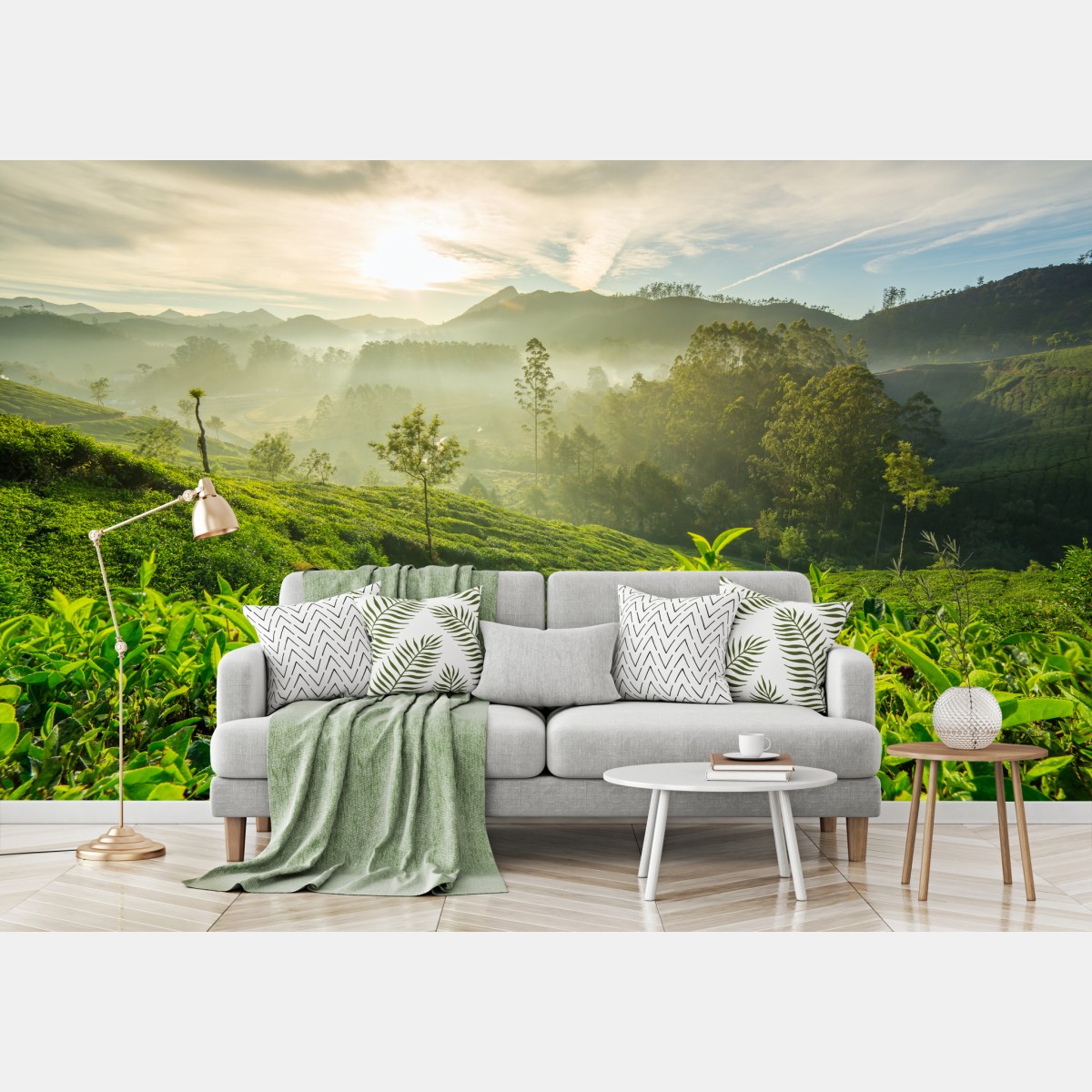Wall mural sunrise over Munnar tea plantations