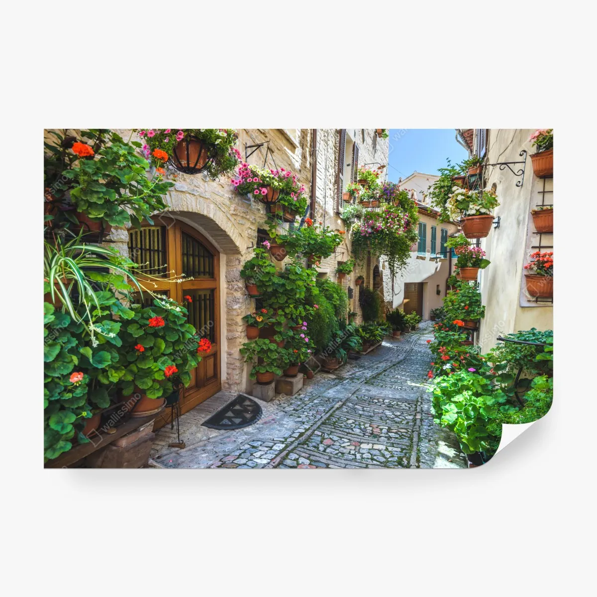 Fototapeta uroczy zaułek w Spello, Włochy – Wallissimo® Fototapeta uroczy zaułek w Spello, Włochy – Wallissimo®