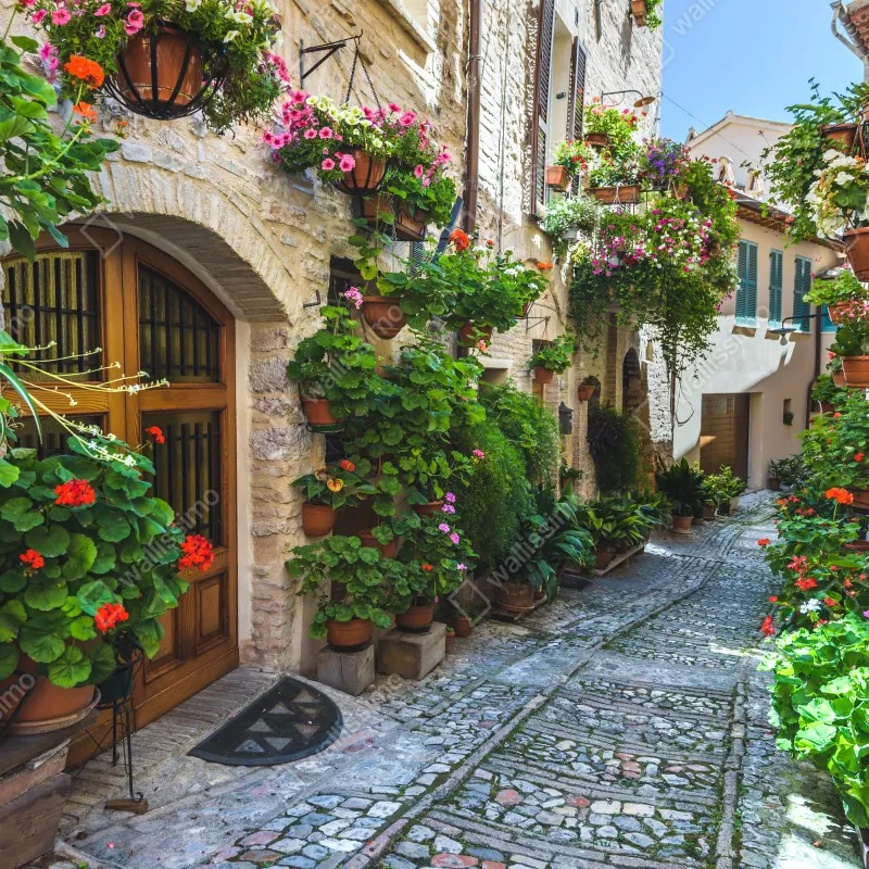 Fototapeta uroczy zaułek w Spello, Włochy – Wallissimo® Fototapeta uroczy zaułek w Spello, Włochy – Wallissimo®