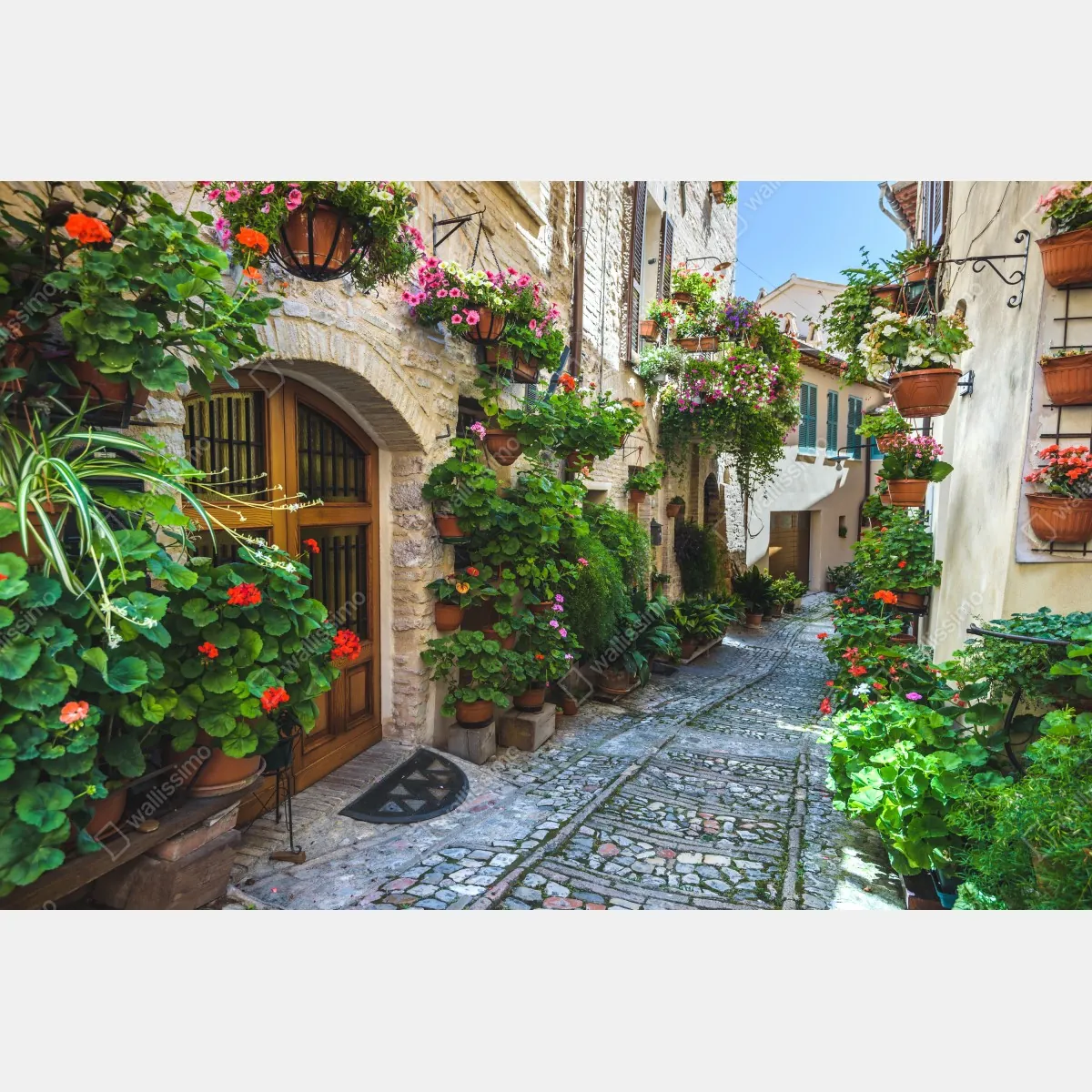 Fototapeta uroczy zaułek w Spello, Włochy – Wallissimo® Fototapeta uroczy zaułek w Spello, Włochy – Wallissimo®
