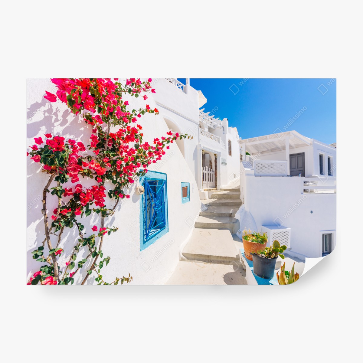 Fototapeta Santorini biała uliczka z bugenwillą – Wallissimo® Fototapeta Santorini biała uliczka z bugenwillą – Wallissimo®