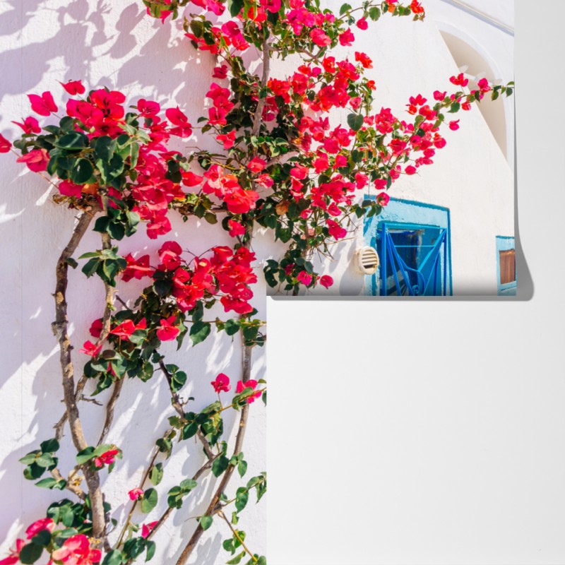 Fototapeta Santorini biała uliczka z bugenwillą – Wallissimo® Fototapeta Santorini biała uliczka z bugenwillą – Wallissimo®
