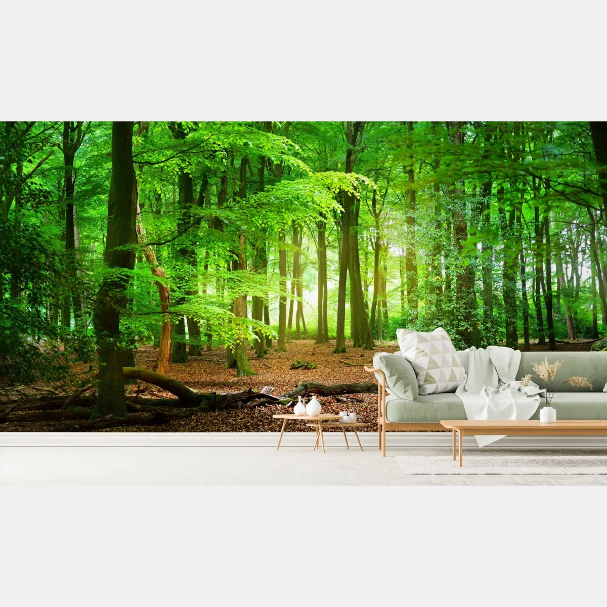 Fototapeta słoneczny zielony las – Wallissimo® Fototapeta słoneczny zielony las – Wallissimo®