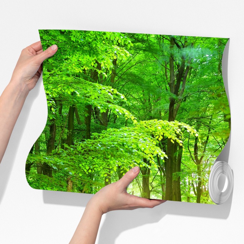 Fototapeta słoneczny zielony las – Wallissimo® Fototapeta słoneczny zielony las – Wallissimo®