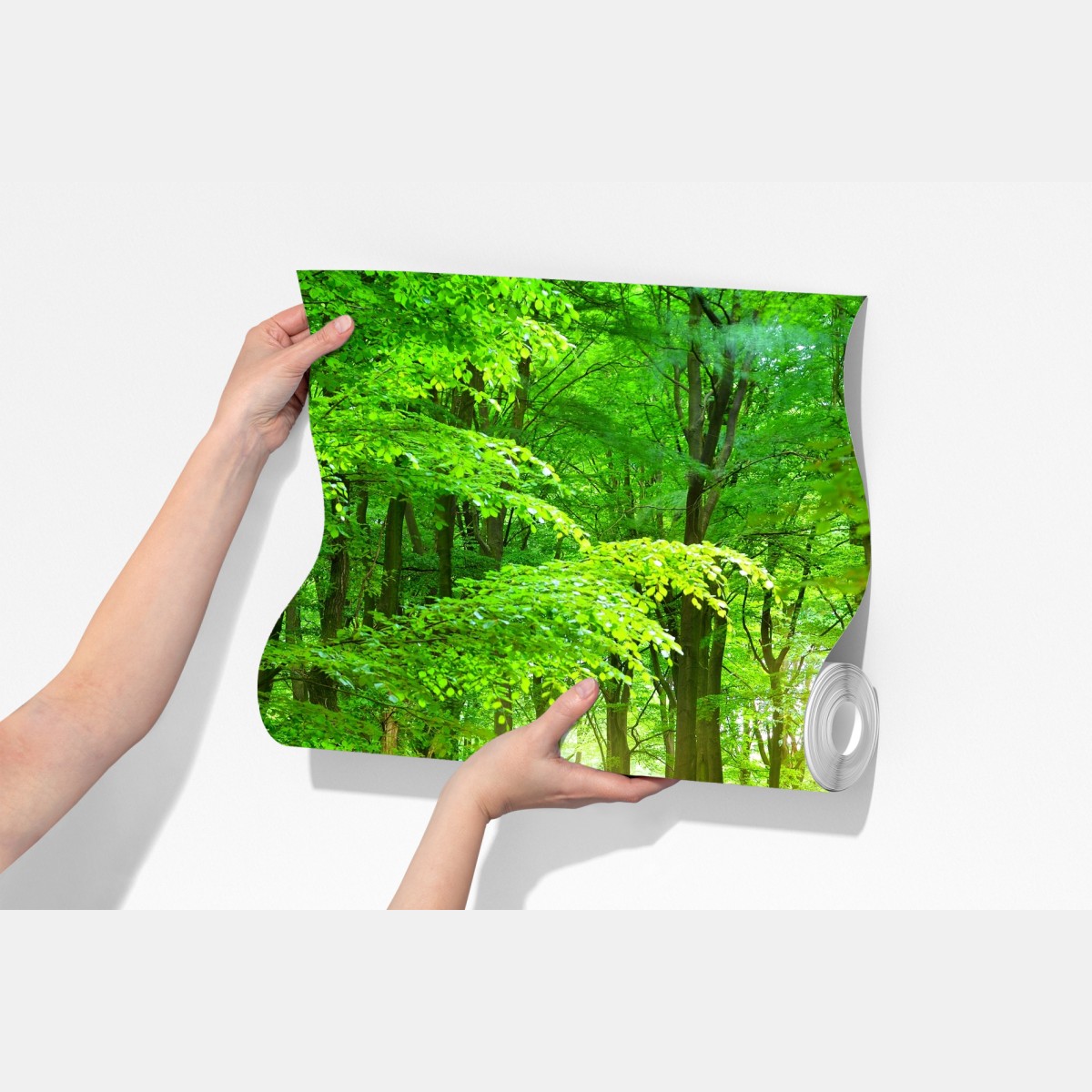 Fototapeta słoneczny zielony las – Wallissimo® Fototapeta słoneczny zielony las – Wallissimo®