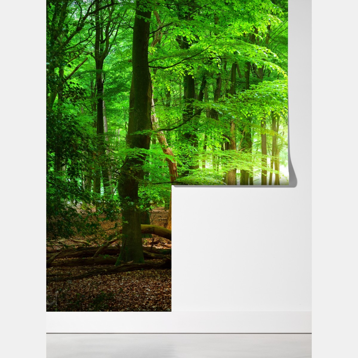 Fototapeta słoneczny zielony las – Wallissimo® Fototapeta słoneczny zielony las – Wallissimo®