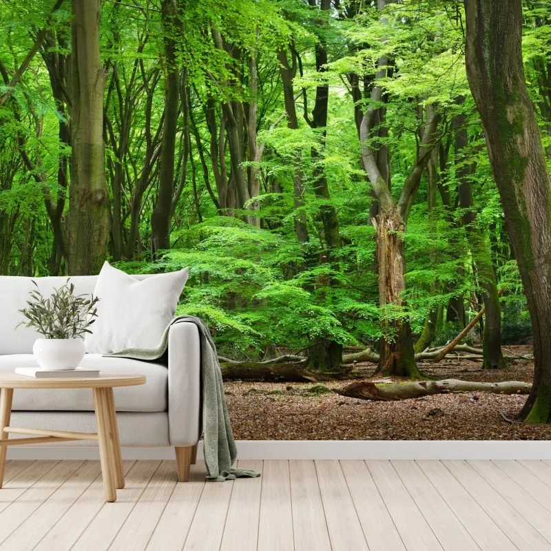 Fototapeta spokojna zielona korona lasu – Wallissimo® Fototapeta spokojna zielona korona lasu – Wallissimo®