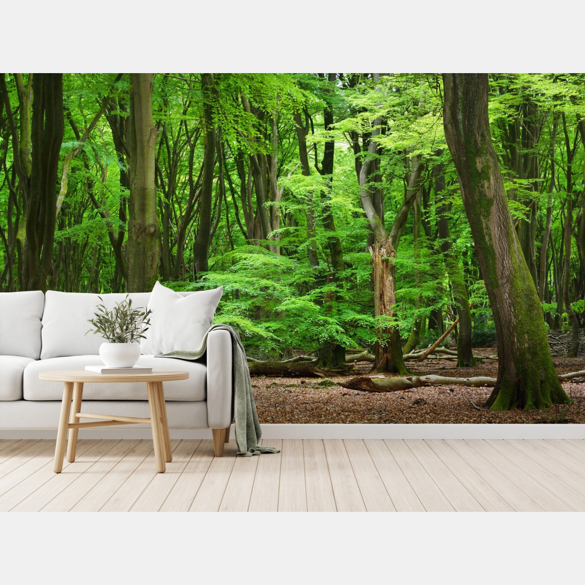 Wall mural serene green forest canopy