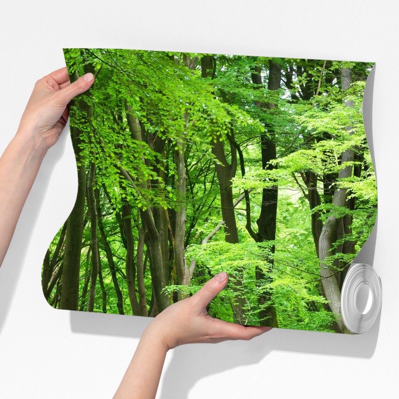 Fototapeta spokojna zielona korona lasu – Wallissimo® Fototapeta spokojna zielona korona lasu – Wallissimo®