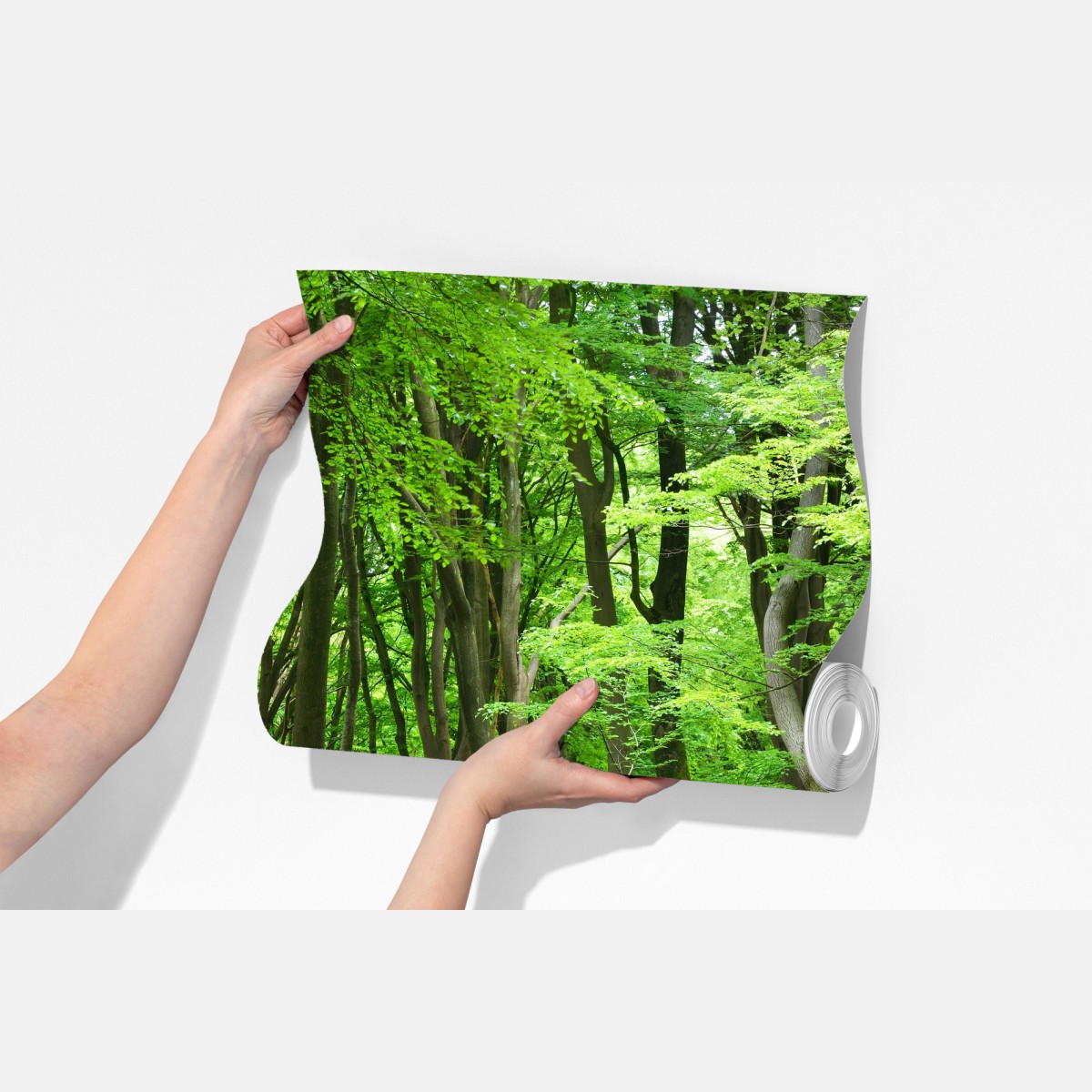 Fototapeta spokojna zielona korona lasu – Wallissimo® Fototapeta spokojna zielona korona lasu – Wallissimo®