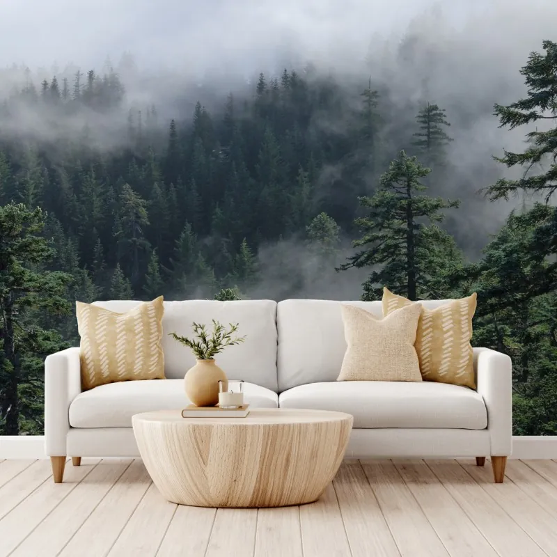 Fototapeta mglisty widok lasu z Larch Mount, Oregon