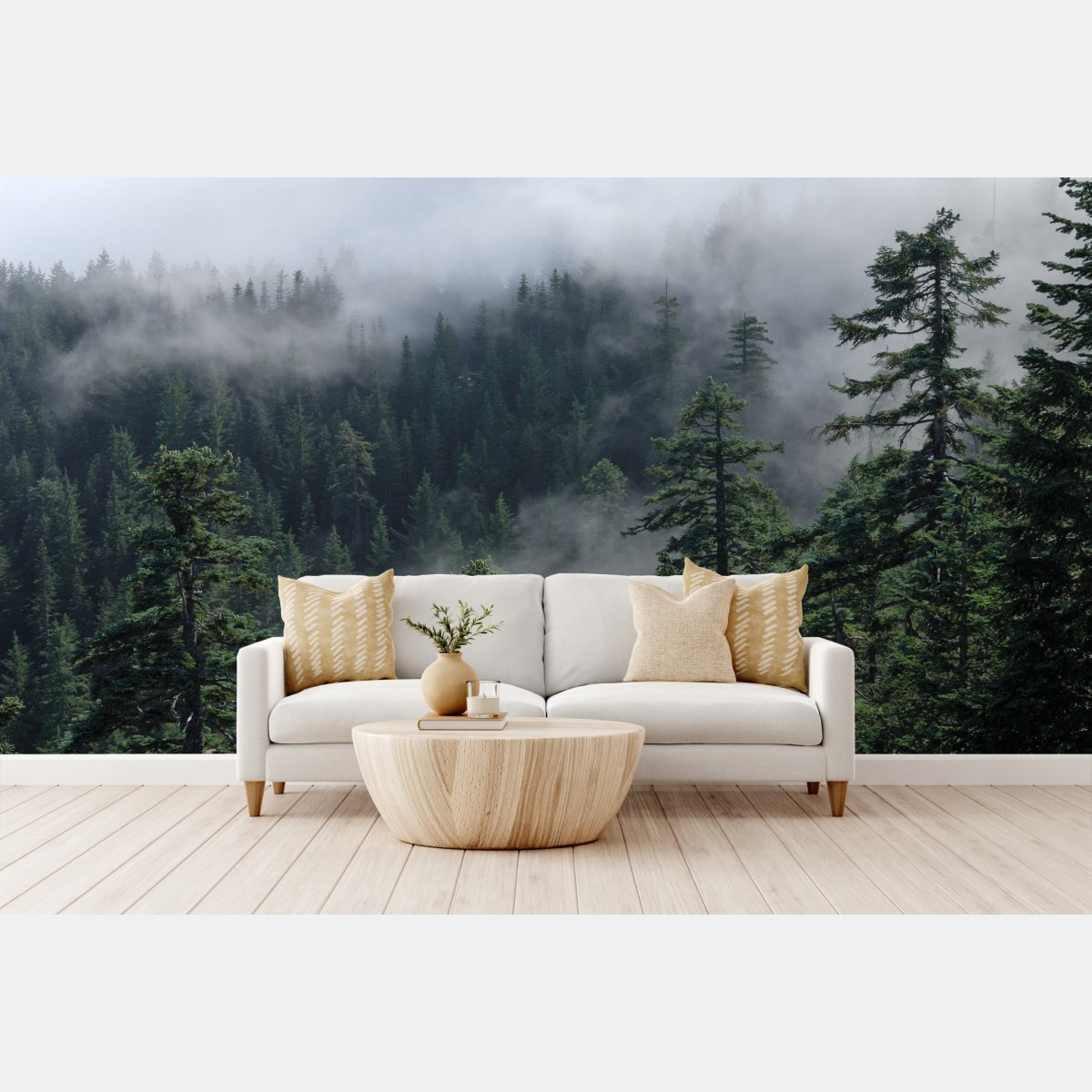 Wall mural misty forest view from Larch Mount, Oregon