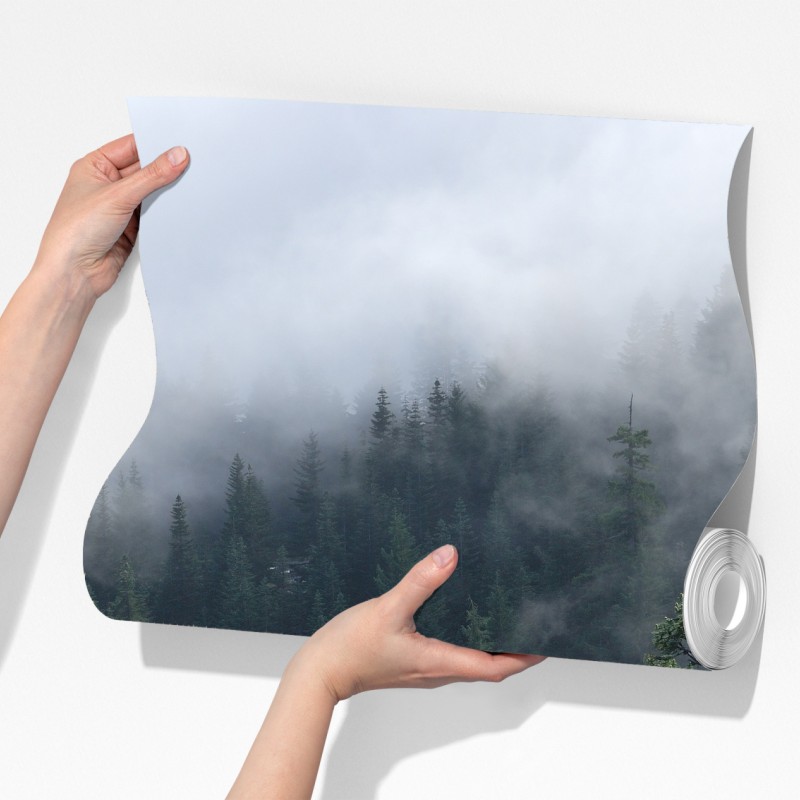 Fototapeta mglisty widok lasu z Larch Mount, Oregon – Wallissimo® Fototapeta mglisty widok lasu z Larch Mount, Oregon – Wallissimo®