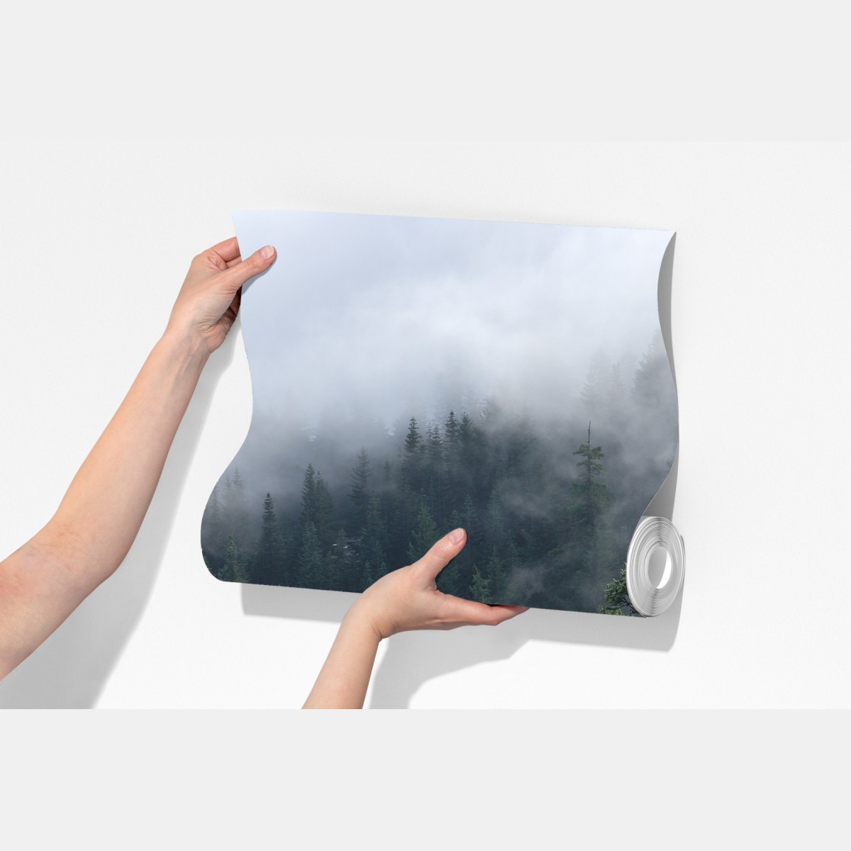 Fototapeta mglisty widok lasu z Larch Mount, Oregon – Wallissimo® Fototapeta mglisty widok lasu z Larch Mount, Oregon – Wallissimo®