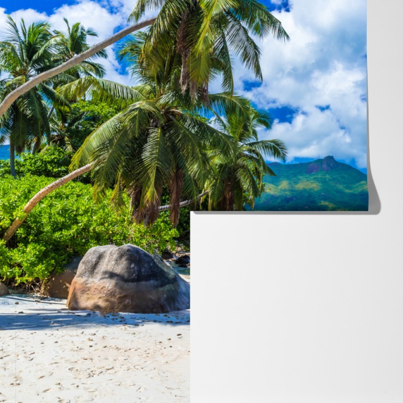 Fototapeta Baie Beau Vallon tropikalna plaża – Wallissimo® Fototapeta Baie Beau Vallon tropikalna plaża – Wallissimo®