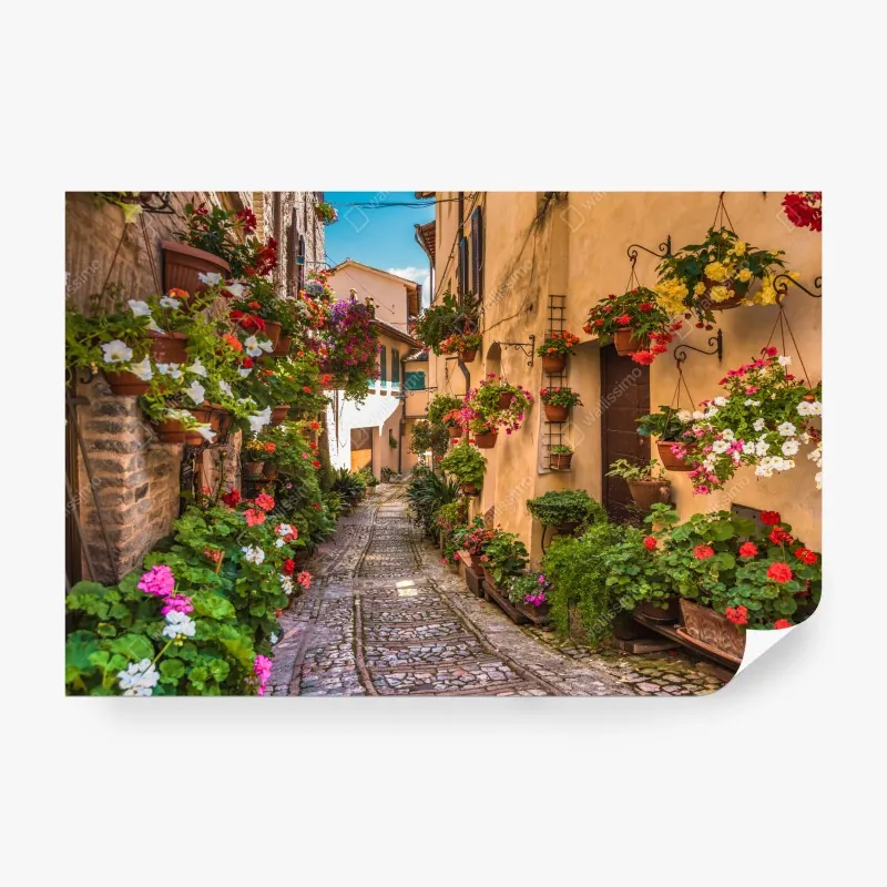 Fototapeta słoneczna kwiatowa alejka w Umbrii