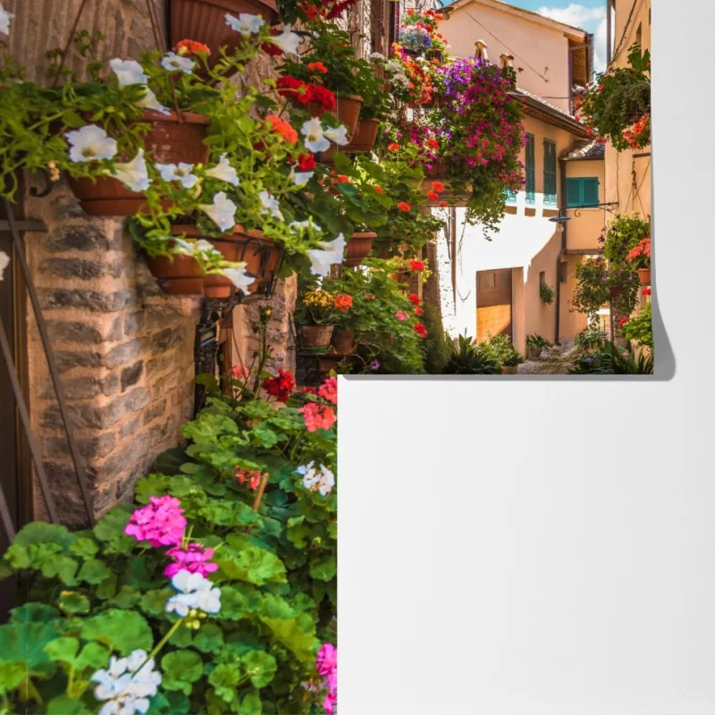 Fototapeta słoneczna kwiatowa alejka w Umbrii – Wallissimo® Fototapeta słoneczna kwiatowa alejka w Umbrii – Wallissimo®