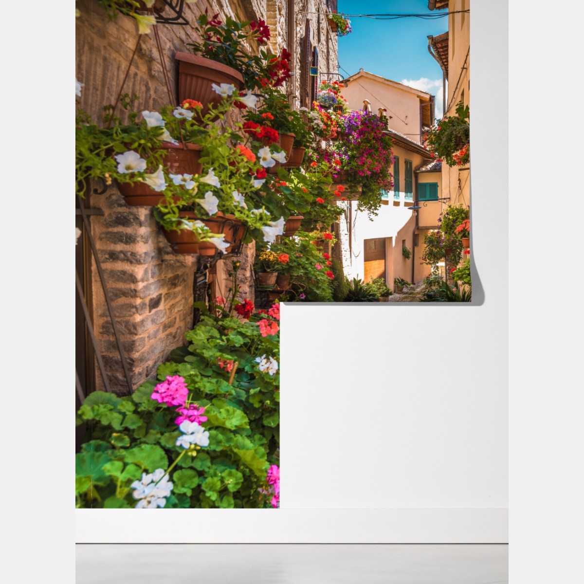 Fototapeta słoneczna kwiatowa alejka w Umbrii – Wallissimo® Fototapeta słoneczna kwiatowa alejka w Umbrii – Wallissimo®