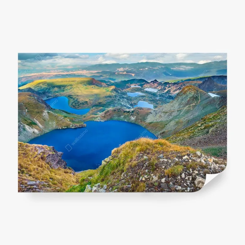 Fototapeta wzór z kwiatami i cytrynami – Wallissimo®