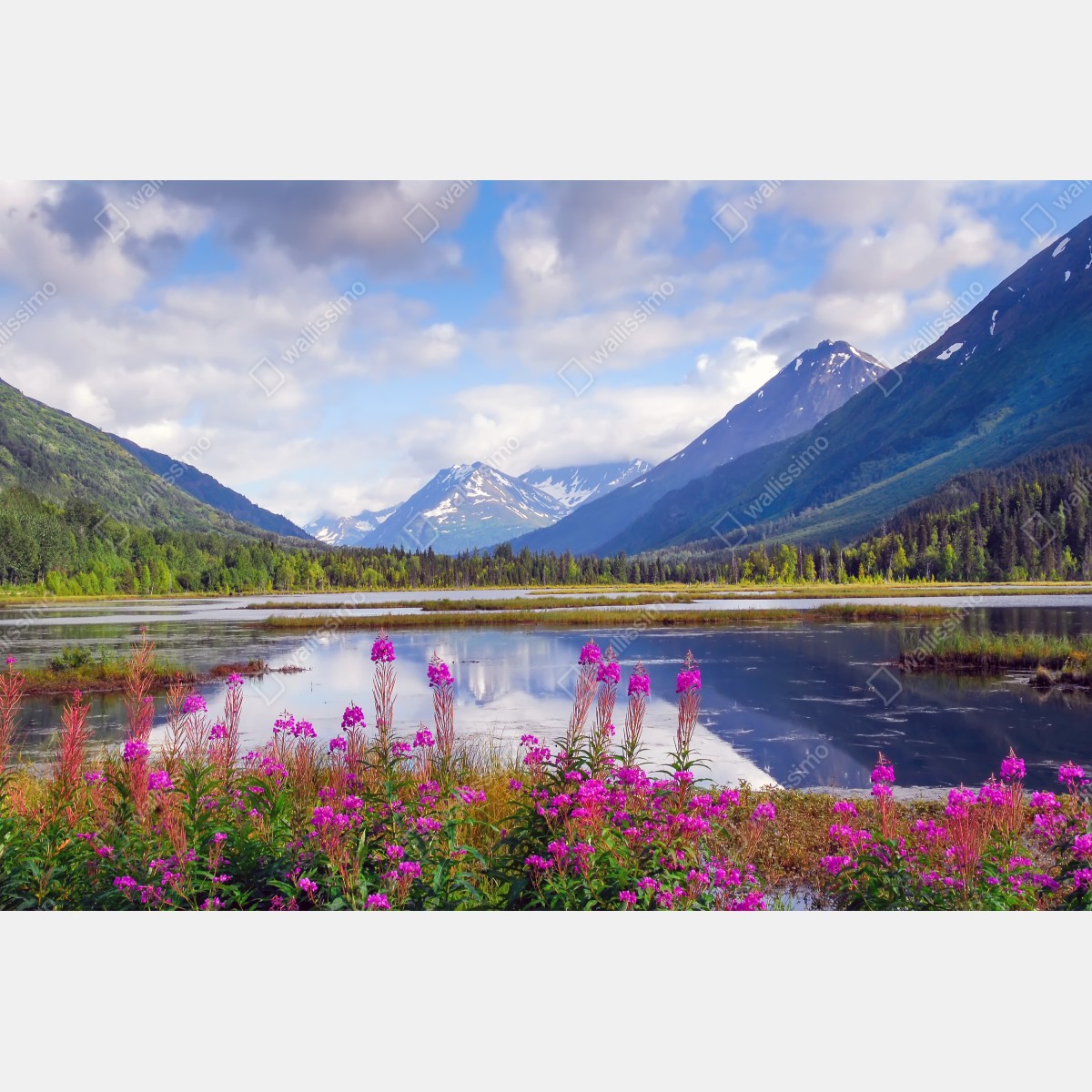 Fototapeta Tern Lake odbicia, krajobraz górski z Alaski – Wallissimo® Fototapeta Tern Lake odbicia, krajobraz górski z Alaski – Wallissimo®
