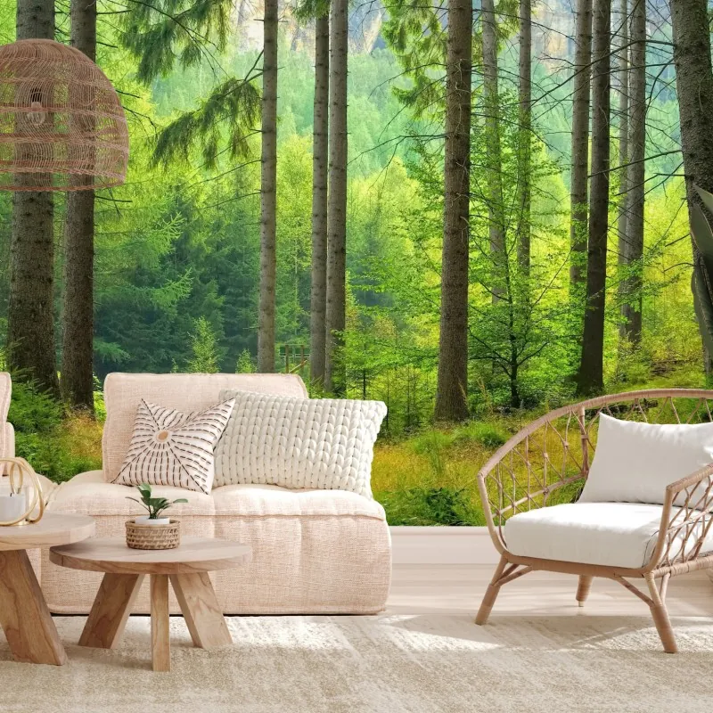 Fototapeta słoneczna ścieżka leśna