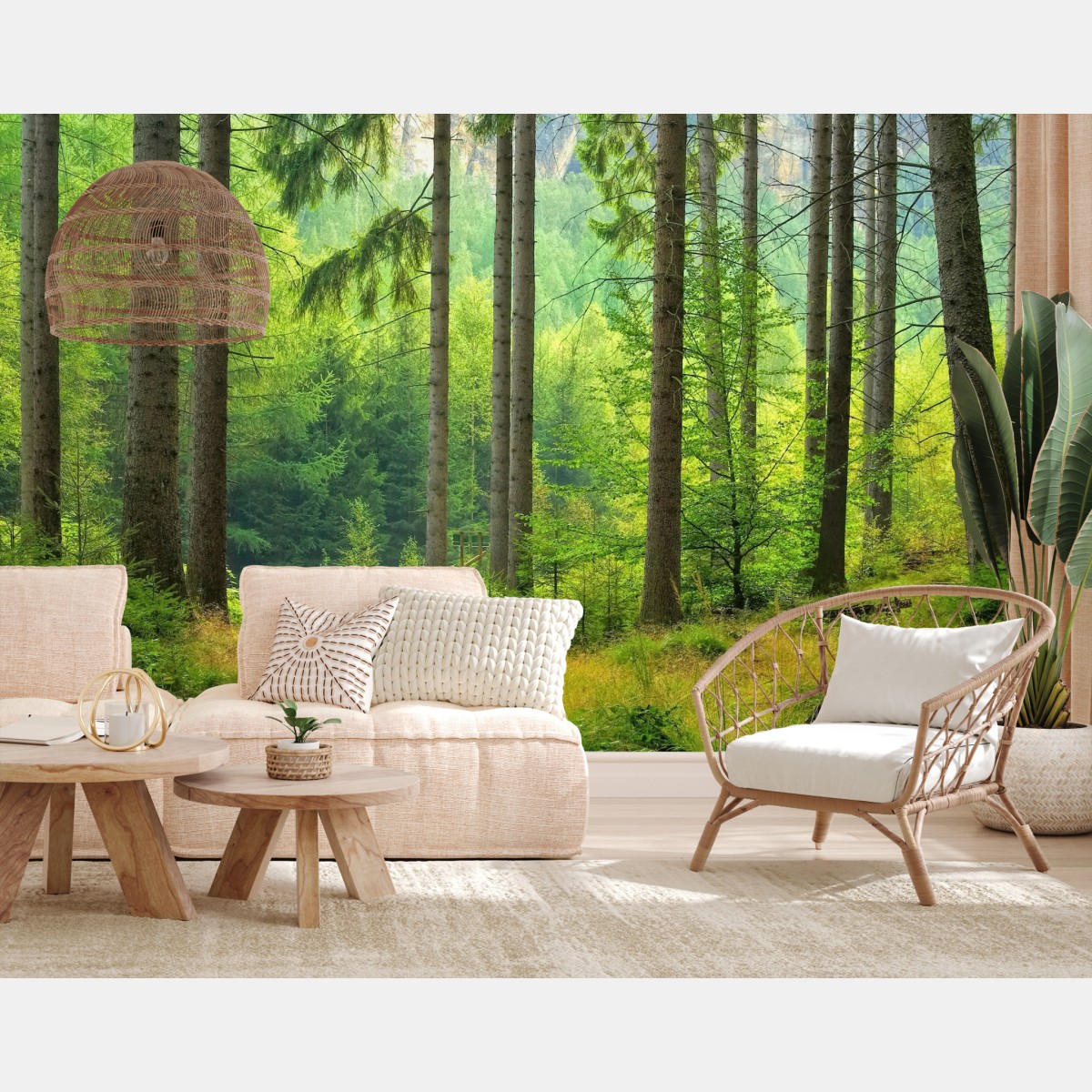 Wall mural sunlit forest trail