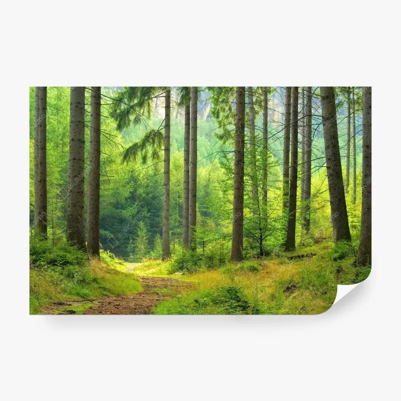 Fototapeta minimalistyczny wzór z ręcznie rysowanymi drzewami – Wallissimo®