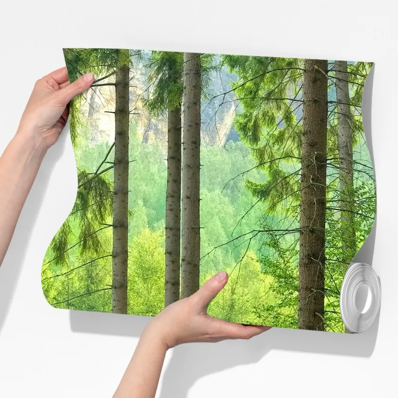 Fototapeta słoneczna ścieżka leśna – Wallissimo® Fototapeta słoneczna ścieżka leśna – Wallissimo®