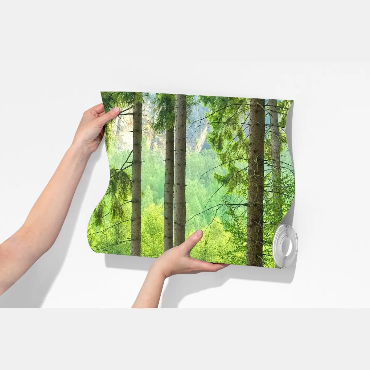 Fototapeta słoneczna ścieżka leśna – Wallissimo® Fototapeta słoneczna ścieżka leśna – Wallissimo®