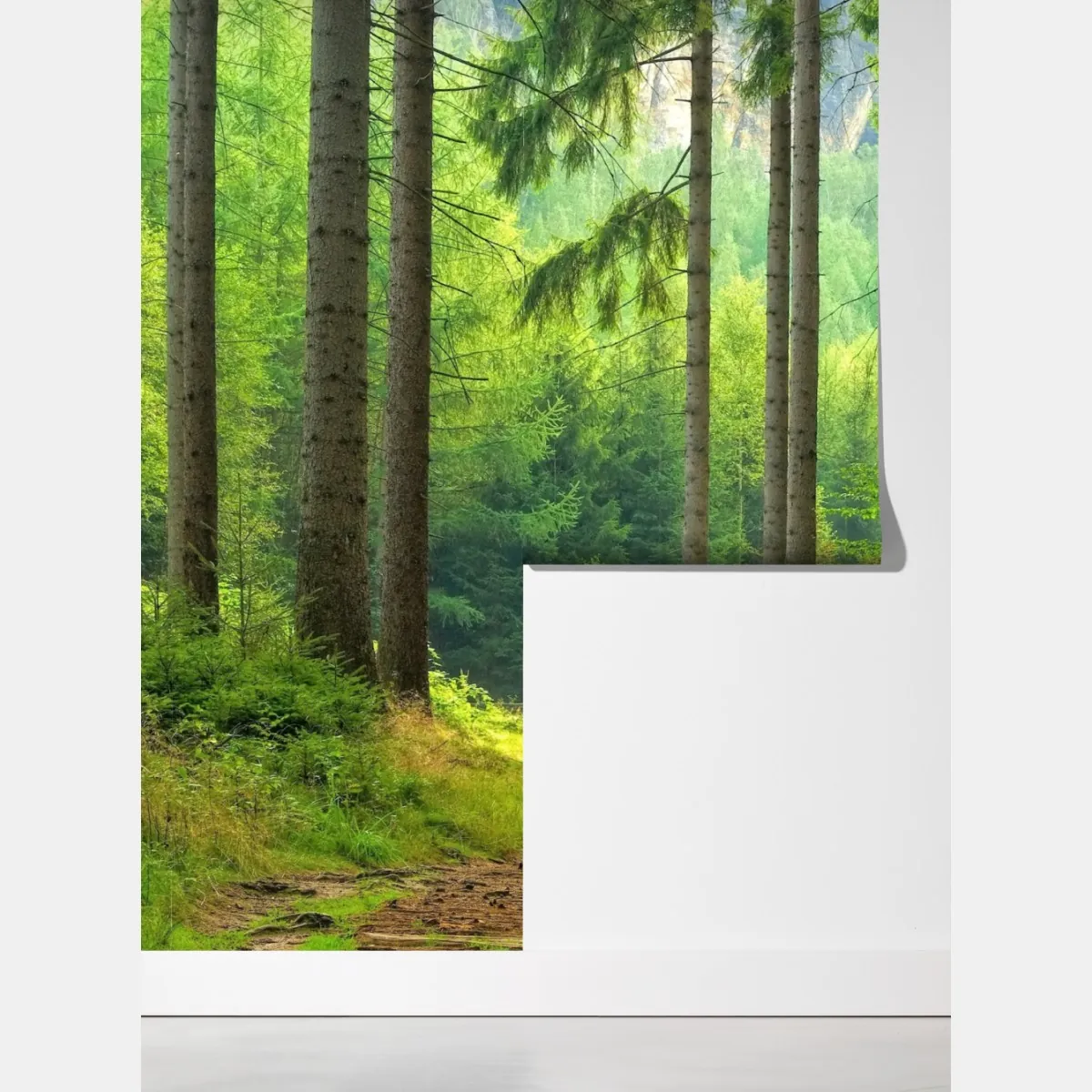 Fototapeta słoneczna ścieżka leśna – Wallissimo® Fototapeta słoneczna ścieżka leśna – Wallissimo®