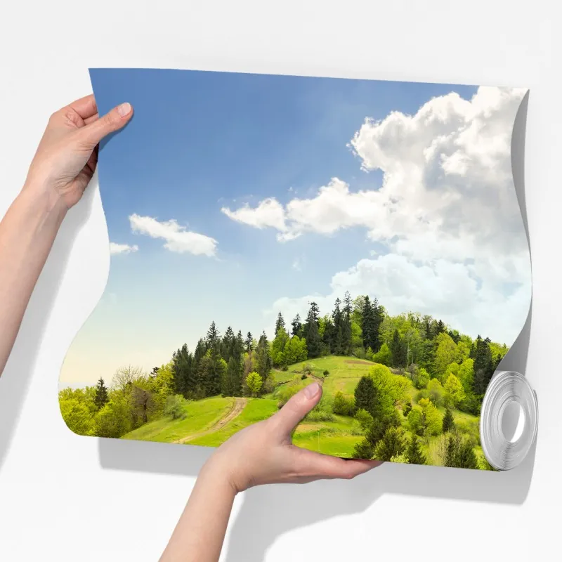 Fototapeta kręta droga przez zielone wzgórza – Wallissimo® Fototapeta kręta droga przez zielone wzgórza – Wallissimo®