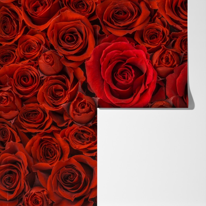 Fototapeta bukiet czerwonych róż w zbliżeniu – Wallissimo® Fototapeta bukiet czerwonych róż w zbliżeniu – Wallissimo®