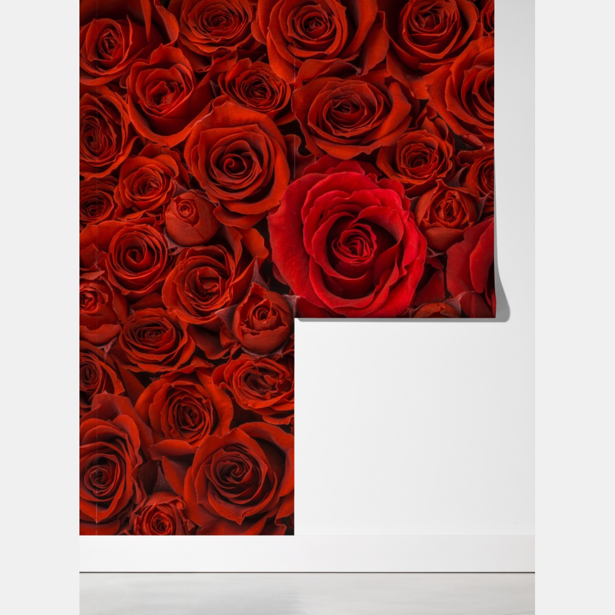 Fototapeta bukiet czerwonych róż w zbliżeniu – Wallissimo® Fototapeta bukiet czerwonych róż w zbliżeniu – Wallissimo®