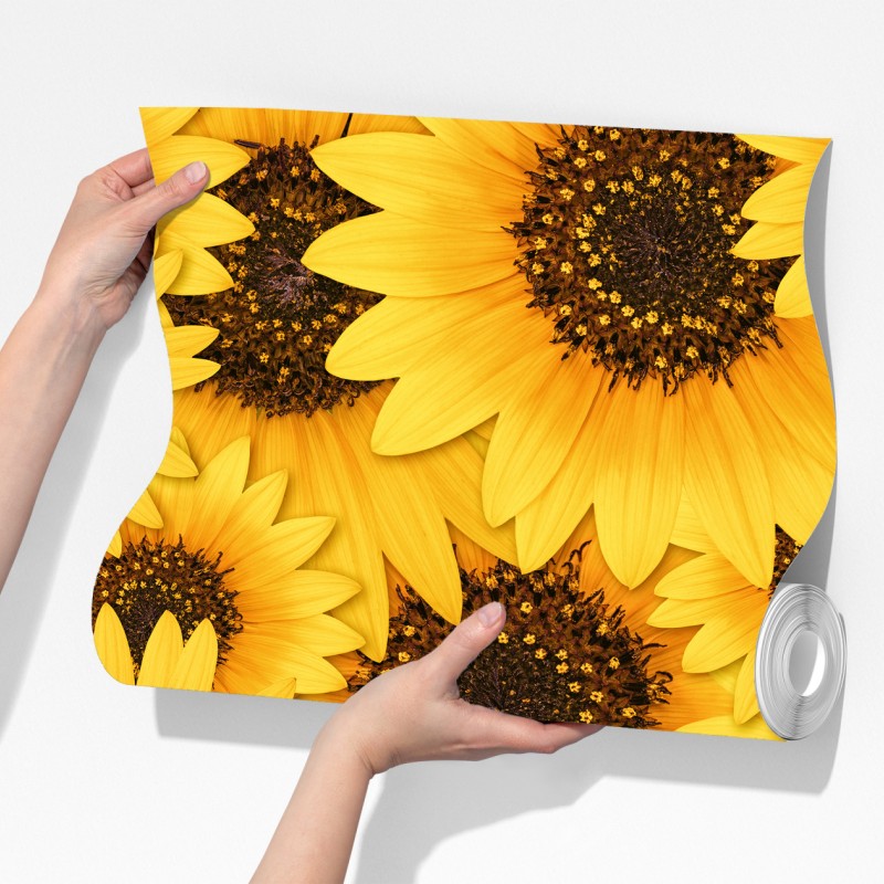 Fototapeta złote słoneczniki – Wallissimo® Fototapeta złote słoneczniki – Wallissimo®