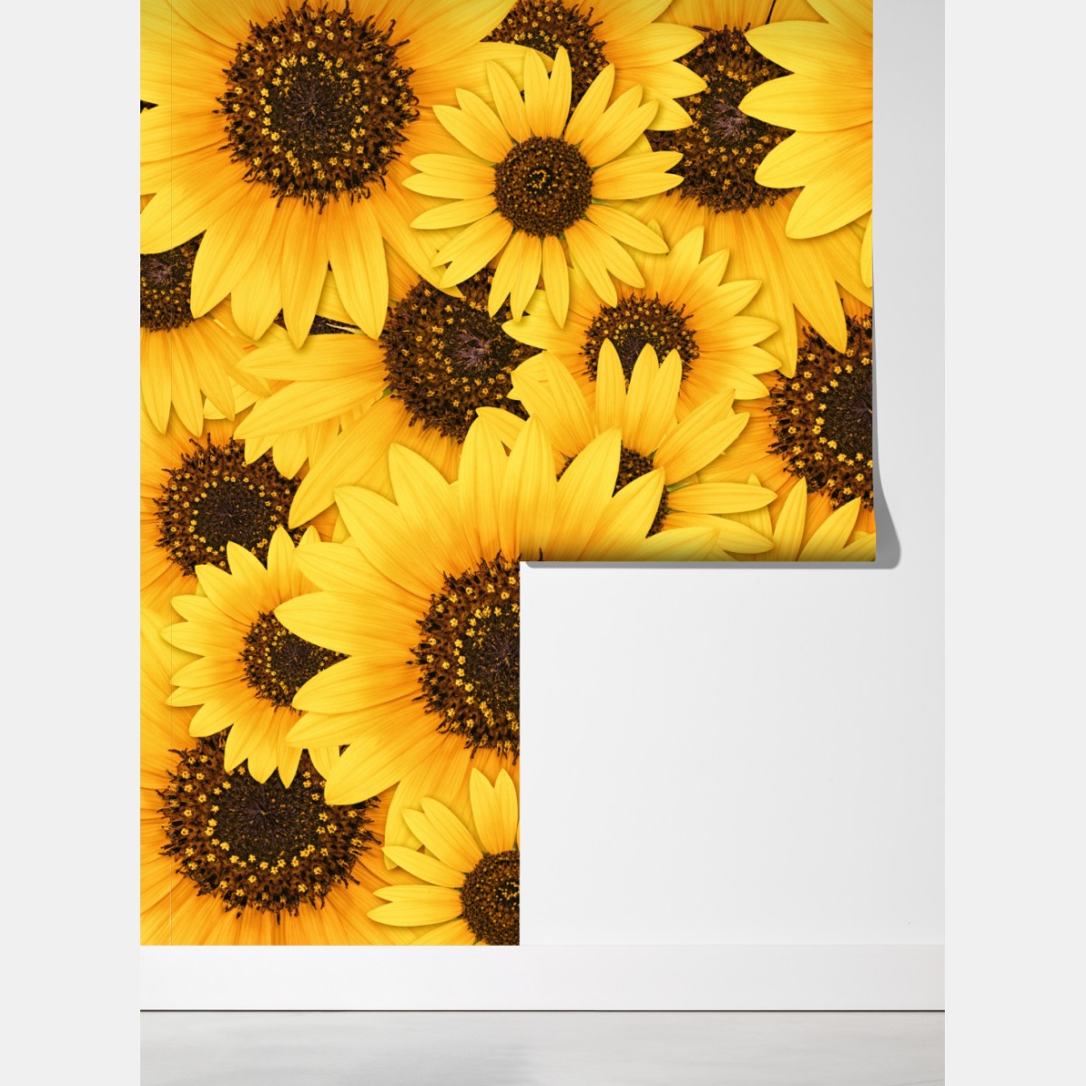 Fototapeta złote słoneczniki – Wallissimo® Fototapeta złote słoneczniki – Wallissimo®