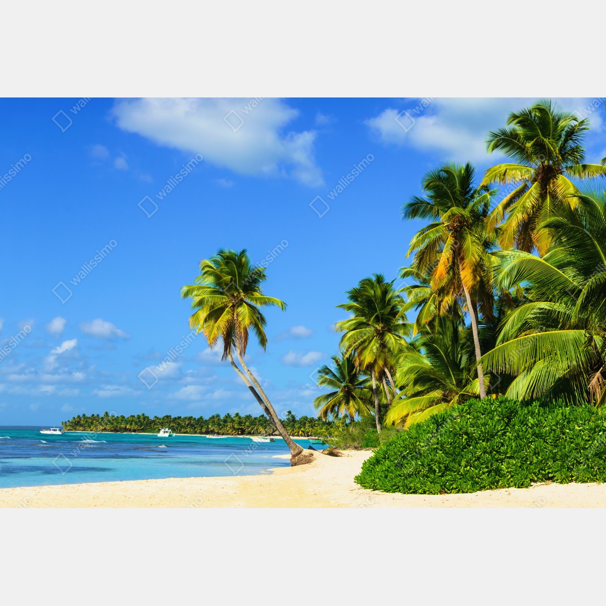 Fototapeta tropikalna plaża z palmami – Wallissimo® Fototapeta tropikalna plaża z palmami – Wallissimo®