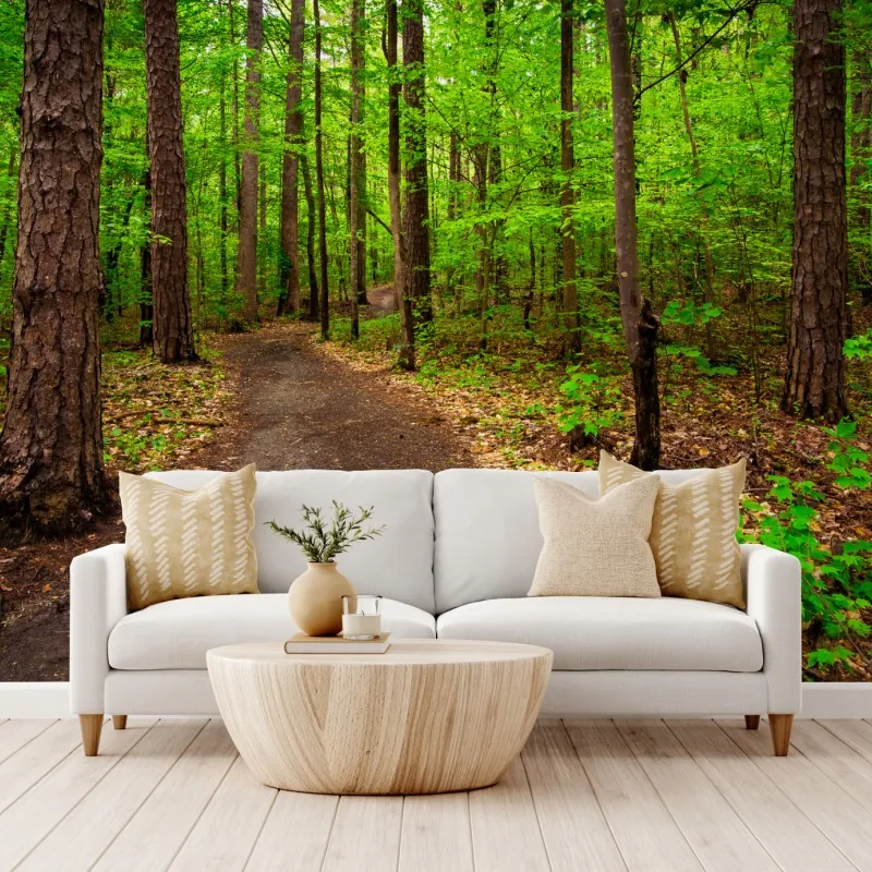 Fototapeta spokojna zielona ścieżka leśna – Wallissimo® Fototapeta spokojna zielona ścieżka leśna – Wallissimo®
