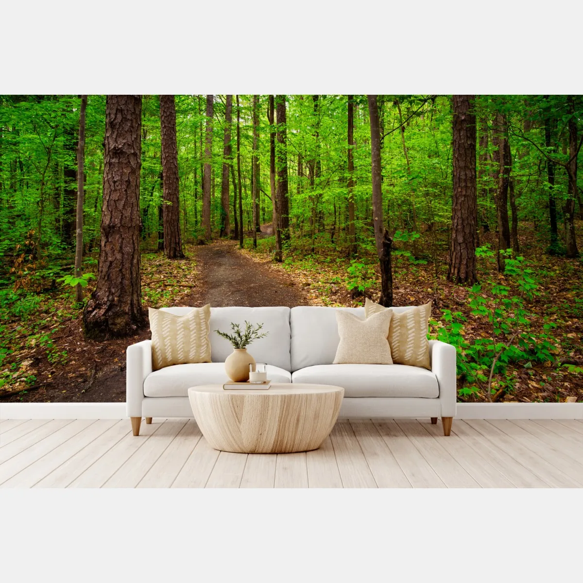 Fototapeta spokojna zielona ścieżka leśna – Wallissimo® Fototapeta spokojna zielona ścieżka leśna – Wallissimo®