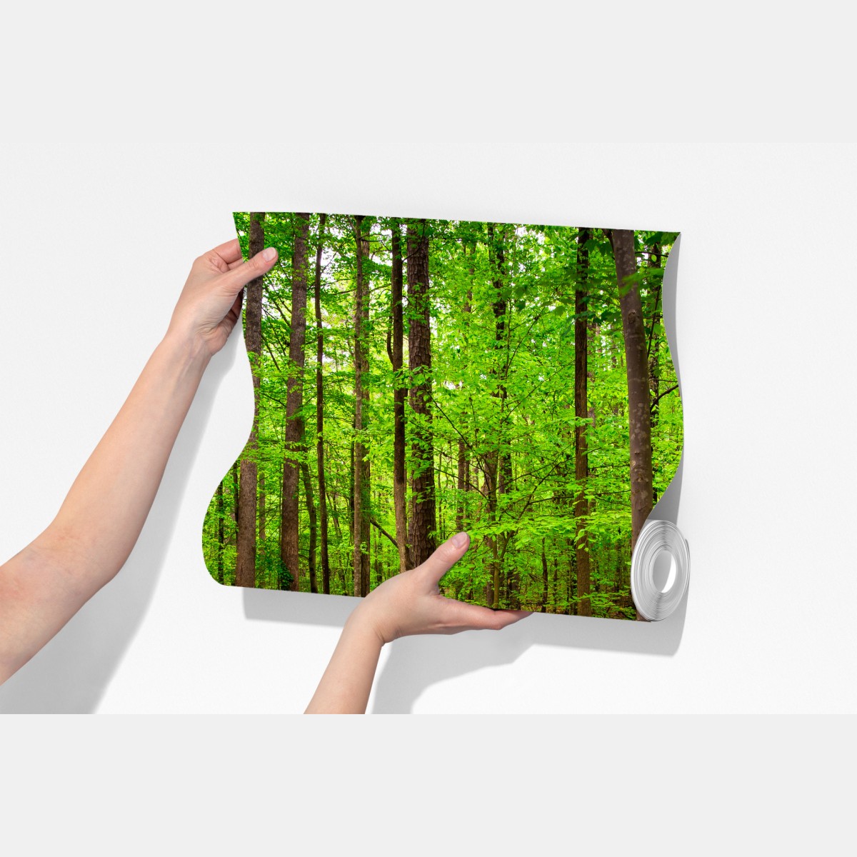 Fototapeta spokojna zielona ścieżka leśna – Wallissimo® Fototapeta spokojna zielona ścieżka leśna – Wallissimo®