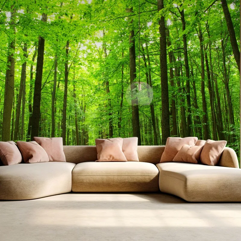 Fototapeta spokojna leśna ścieżka