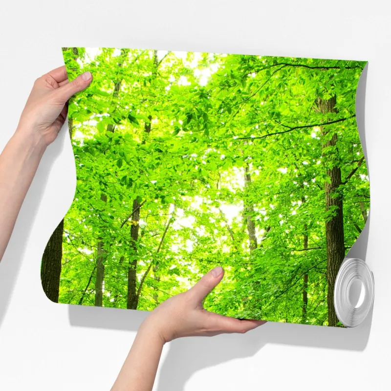 Fototapeta spokojna leśna ścieżka – Wallissimo® Fototapeta spokojna leśna ścieżka – Wallissimo®