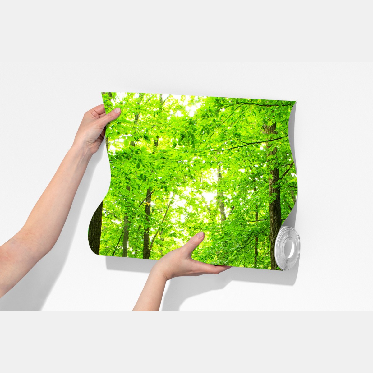 Fototapeta spokojna leśna ścieżka – Wallissimo® Fototapeta spokojna leśna ścieżka – Wallissimo®