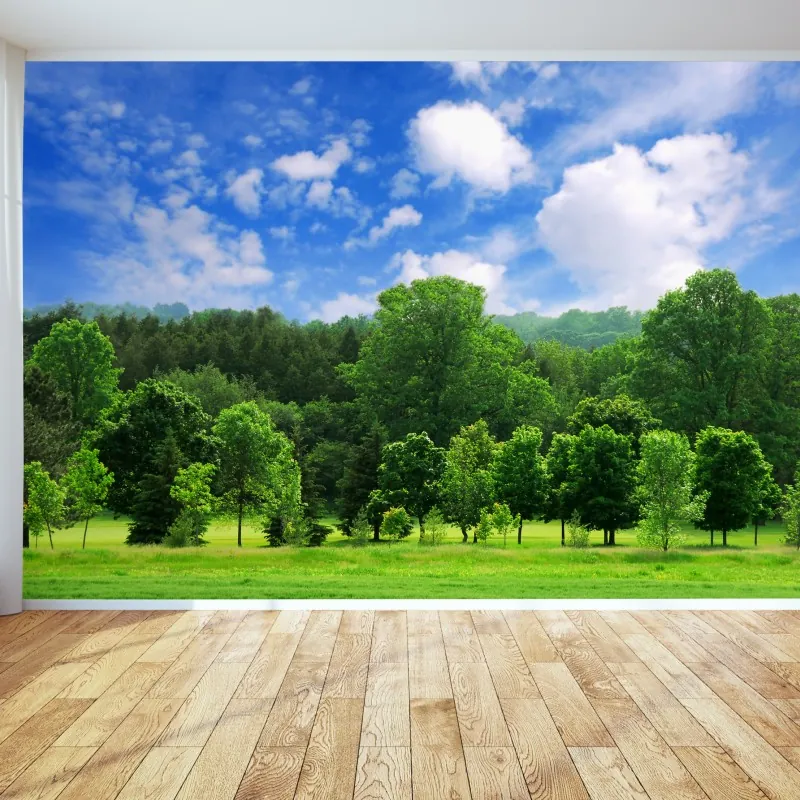 Fototapeta letni zielony las pod niebieskim niebem – Wallissimo® Fototapeta letni zielony las pod niebieskim niebem – Wallissimo®