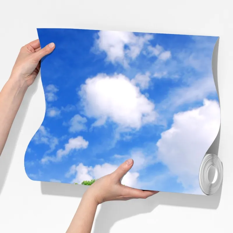 Fototapeta letni zielony las pod niebieskim niebem – Wallissimo® Fototapeta letni zielony las pod niebieskim niebem – Wallissimo®