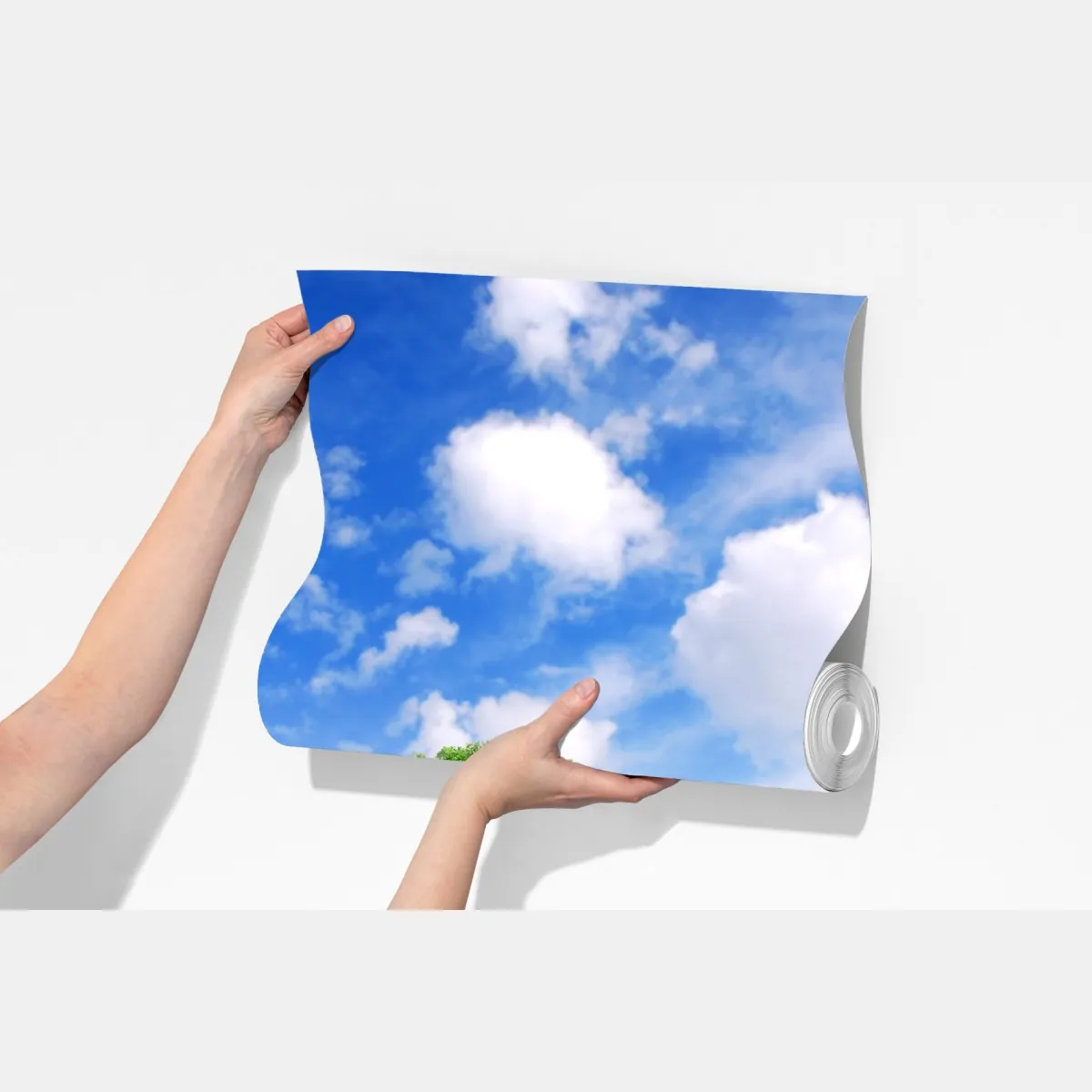 Fototapeta letni zielony las pod niebieskim niebem – Wallissimo® Fototapeta letni zielony las pod niebieskim niebem – Wallissimo®