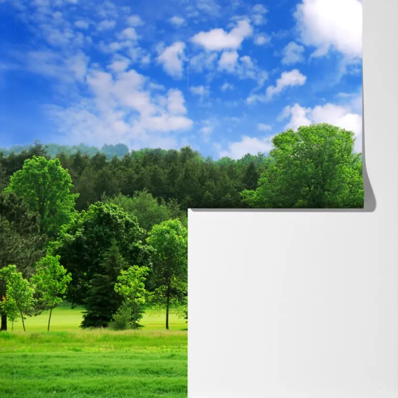 Fototapeta letni zielony las pod niebieskim niebem – Wallissimo® Fototapeta letni zielony las pod niebieskim niebem – Wallissimo®