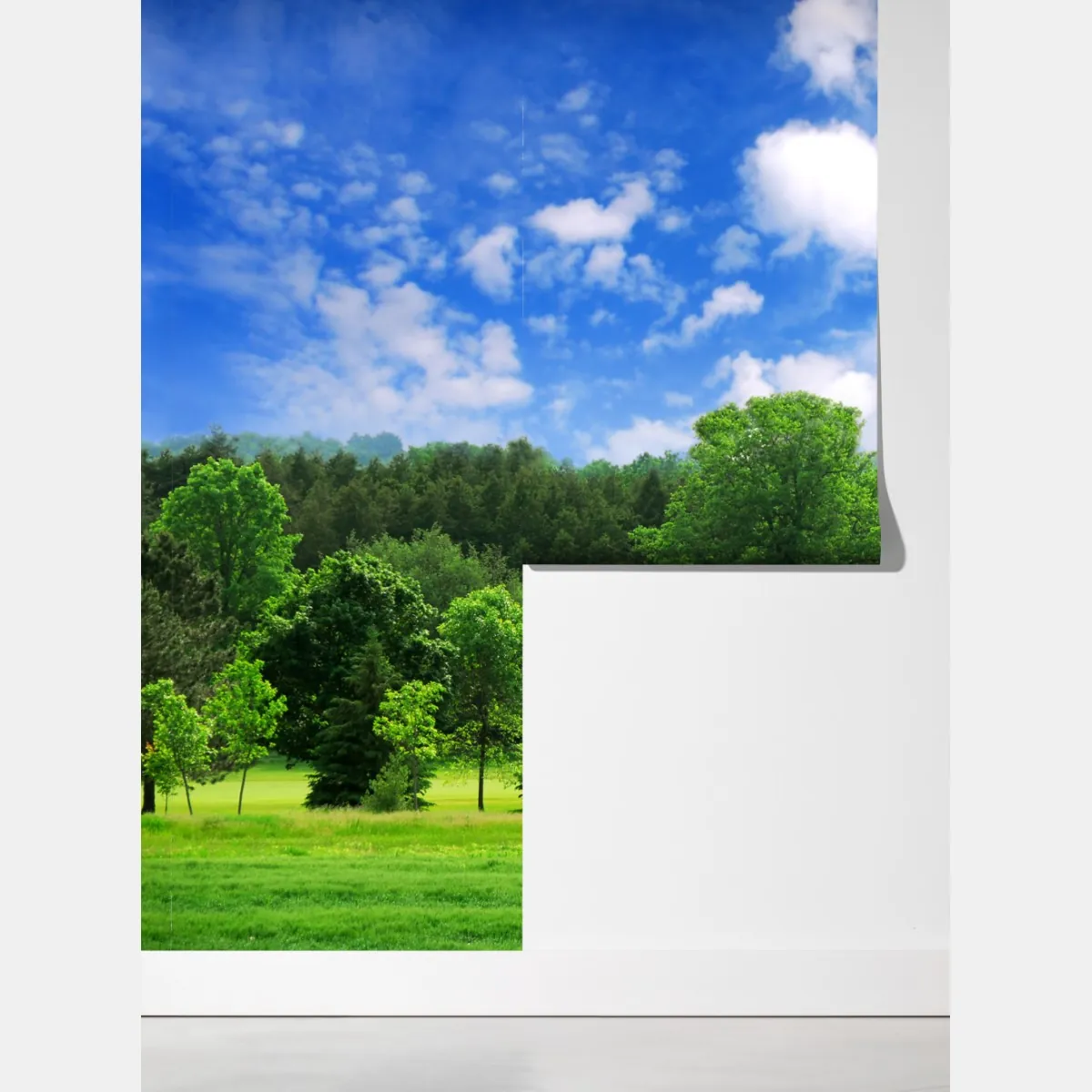 Fototapeta letni zielony las pod niebieskim niebem – Wallissimo® Fototapeta letni zielony las pod niebieskim niebem – Wallissimo®